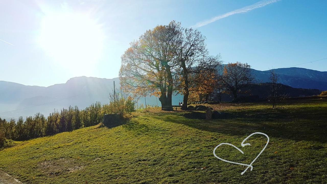 Domus Rose Rooms Bozen Exterior foto