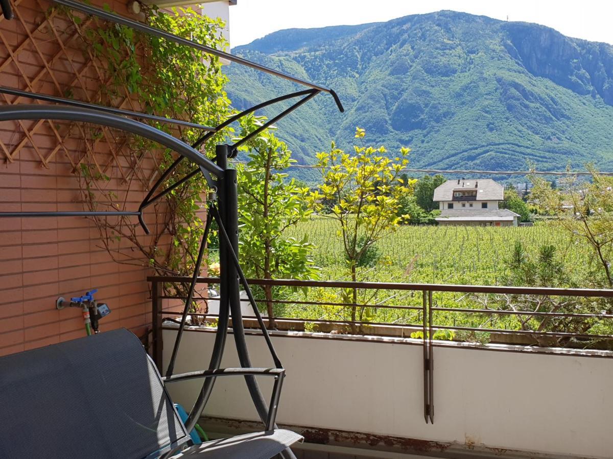 Domus Rose Rooms Bozen Exterior foto