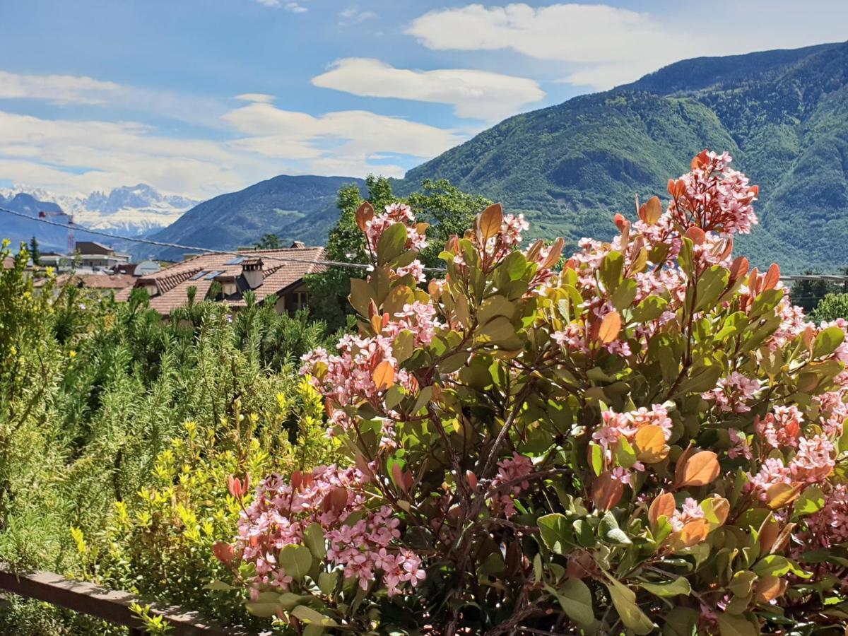 Domus Rose Rooms Bozen Exterior foto